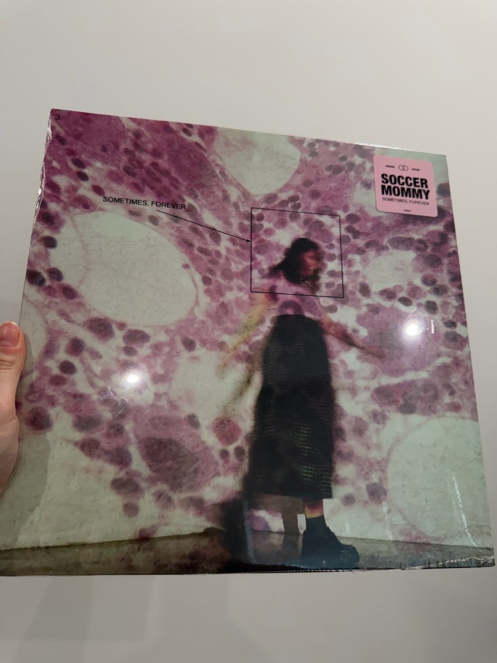 Sometimes, Forever vinyl by Soccer Mommy